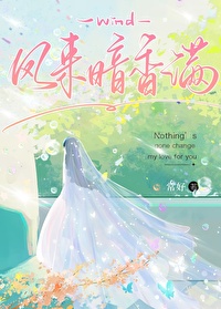 风来满袖